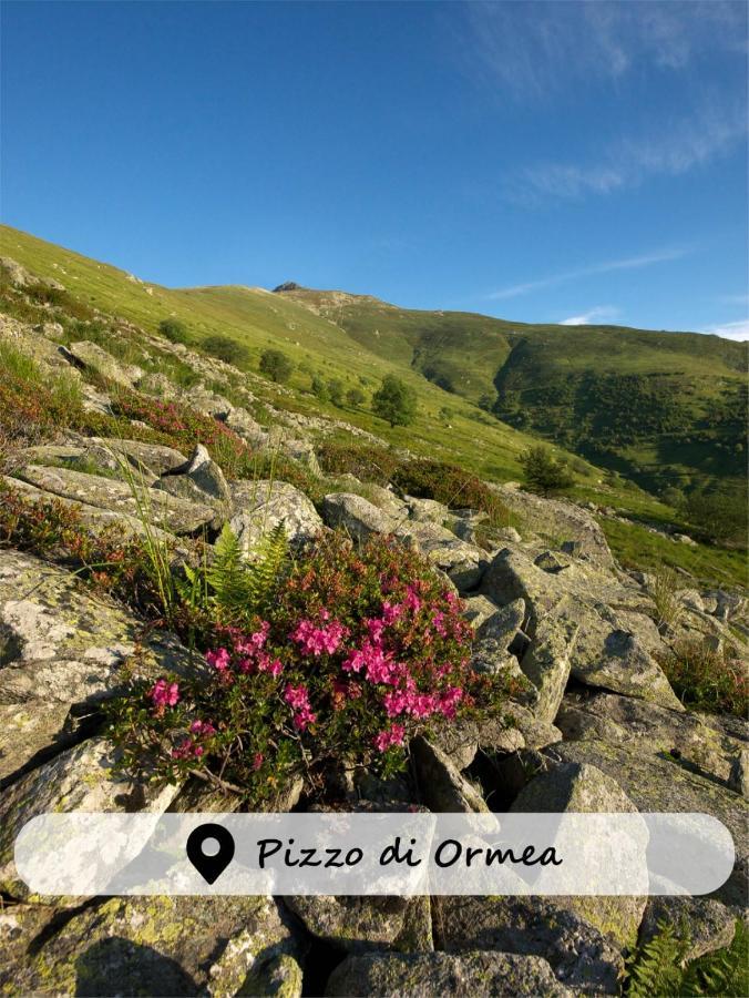 Albergo Ristorante Payarin Ormea Екстериор снимка